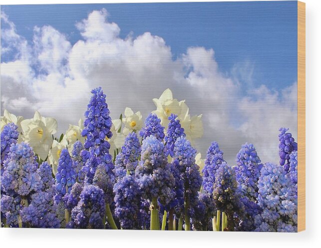 Flowers Wood Print featuring the photograph Flowers and Sky by Brian Eberly