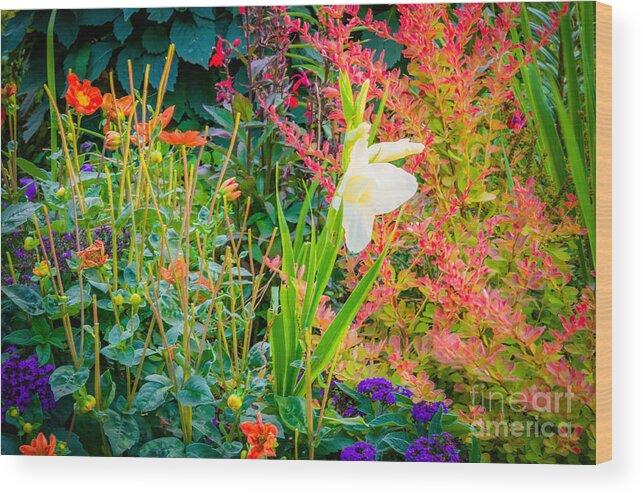 Flowers Wood Print featuring the photograph Flowers by Mariusz Talarek