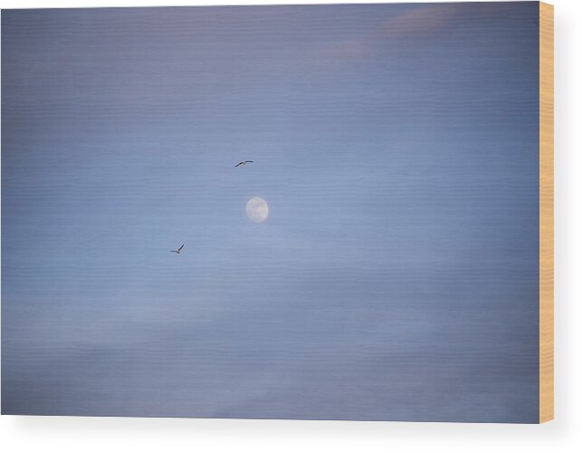 Moon Wood Print featuring the photograph Fly me to the moon by Toby McGuire