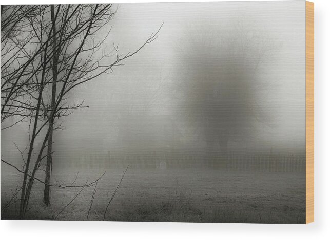 Fog Wood Print featuring the photograph Fog 007 by Mimulux Patricia No