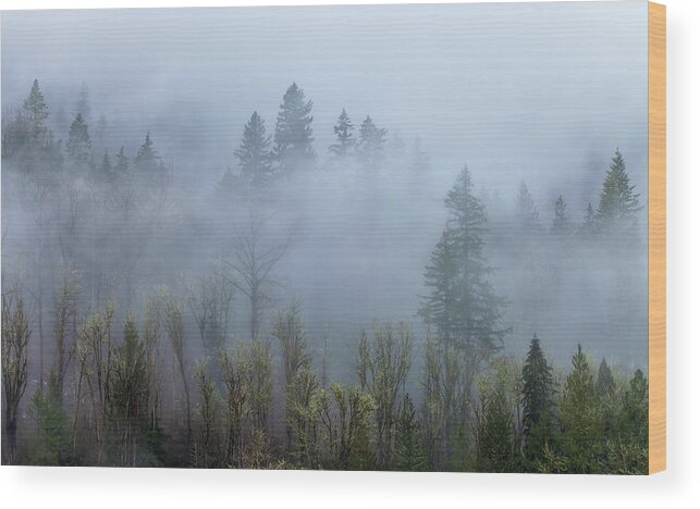 Landscape Wood Print featuring the photograph Fog And The Cascade by Jonathan Nguyen