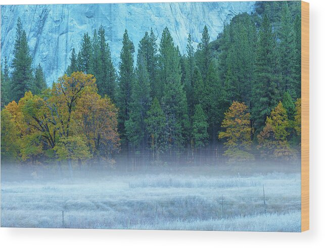 Nature Wood Print featuring the photograph Fog-Frost-Fall by Jonathan Nguyen