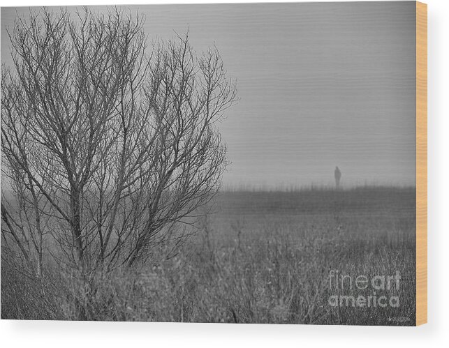 Fog Prints Wood Print featuring the photograph The Fog Of History by Phil Mancuso