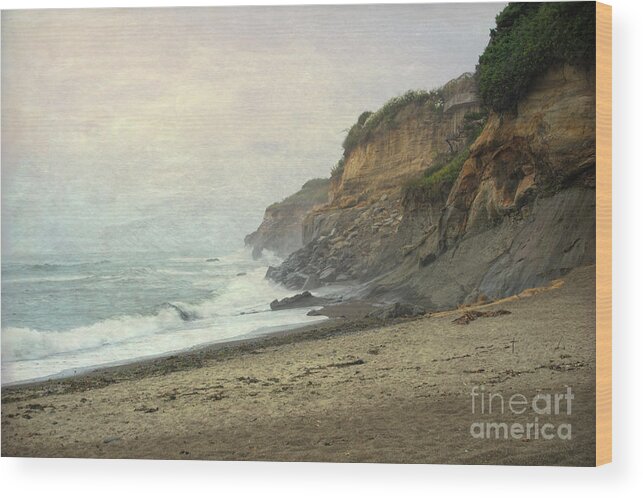 Ocean Wood Print featuring the photograph Fogerty Beach by Craig Leaper