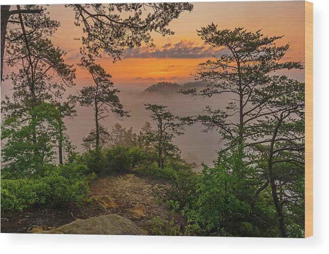 Ridges Wood Print featuring the photograph Foggy dawn. by Ulrich Burkhalter