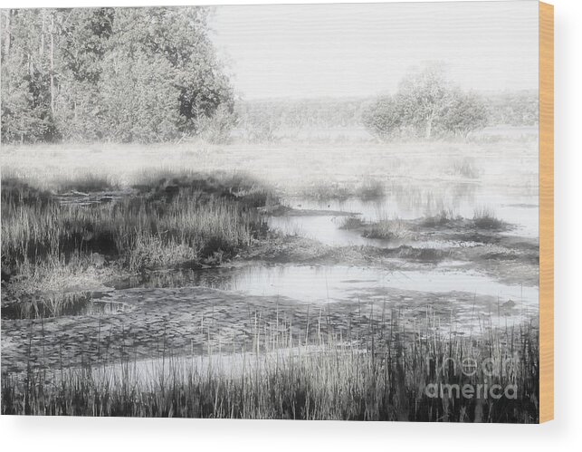 Nature Wood Print featuring the photograph Foggy Estuary by Marcia Lee Jones