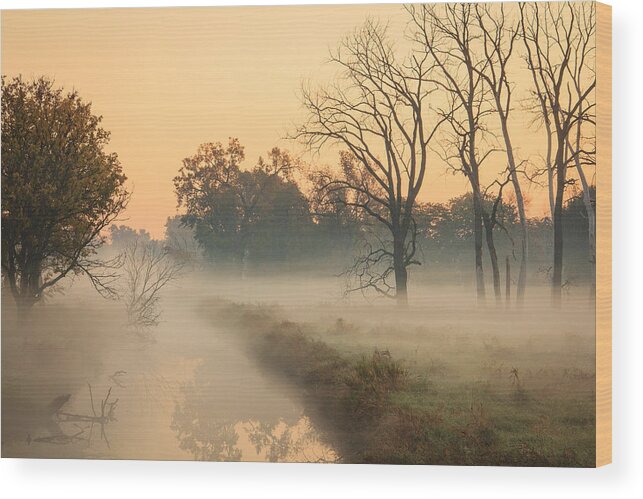 Illinois Wood Print featuring the photograph Foggy Fall Morning on Gary Avenue by Joni Eskridge