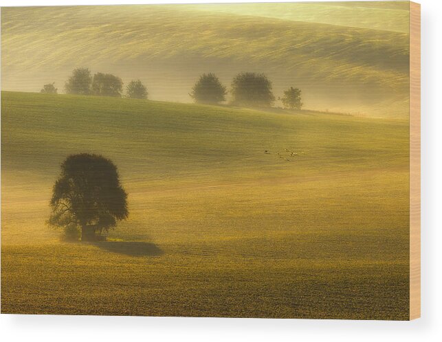 Foggy Wood Print featuring the photograph Foggy Fields by Piotr Krol (bax)