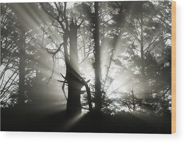 Oregon Wood Print featuring the photograph Foggy Flares by Wesley Aston