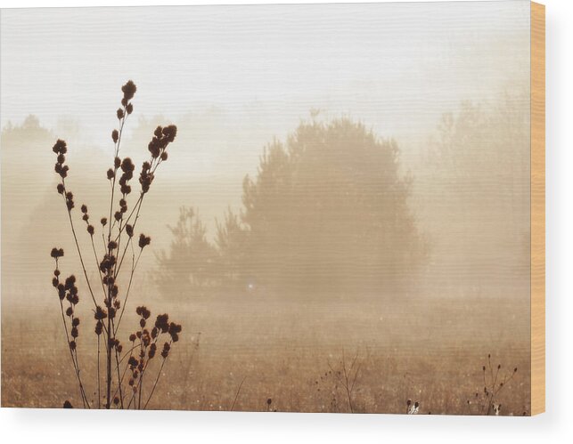 Hovind Wood Print featuring the photograph Foggy Meadow 2 by Scott Hovind