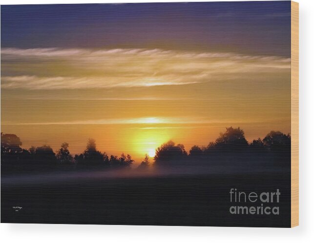 Nature Wood Print featuring the photograph Foggy Morning Sunrise by DB Hayes