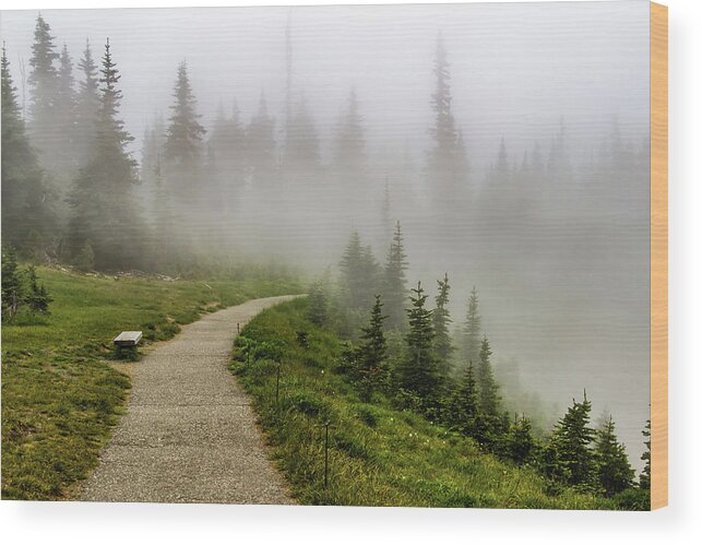 Hurricane Wood Print featuring the photograph Foggy Path at Hurricane Ridge by Roslyn Wilkins