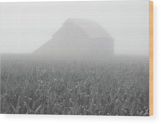 Foggy Summer Barn Wood Print featuring the photograph Foggy Summer Barn by Dylan Punke