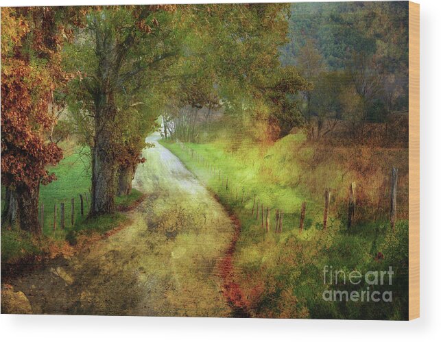 Country Lane Wood Print featuring the photograph Following My Vision by Michael Eingle