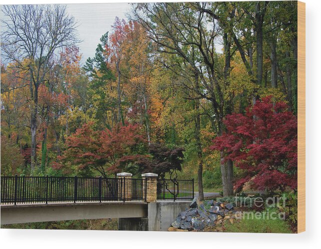 Freedom Park Bridge Wood Print featuring the photograph Foot Bridge in the Fall by Jill Lang