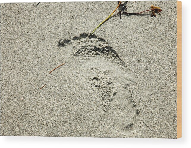 Footprint Wood Print featuring the photograph Footprint in the Sand - South Beach Miami by Frank Mari