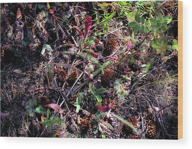 Pine Cones Wood Print featuring the photograph Forest Floor by Scott Carlton