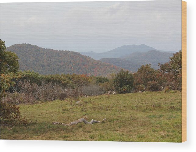 Top Of Mountain Wood Print featuring the photograph Forest Highlands by Allen Nice-Webb