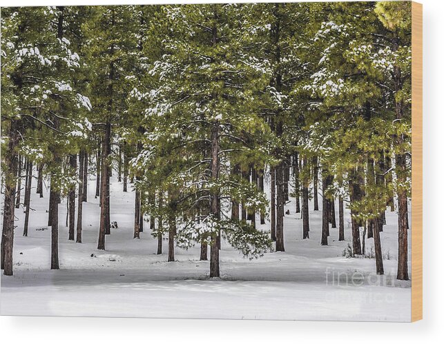Forest Wood Print featuring the photograph Forest snow by David Meznarich
