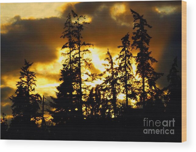 Sunset Wood Print featuring the photograph Forest Sunset by Nick Gustafson