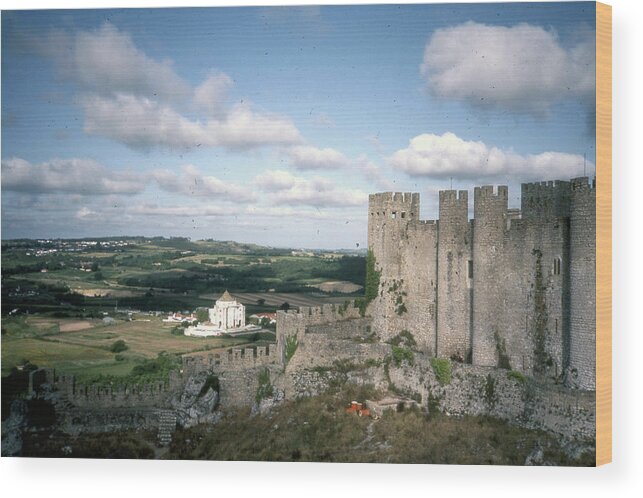 Fortress Wood Print featuring the photograph Fort by Jane Whiting Chrzanoska