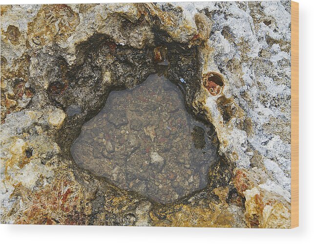 Background Wood Print featuring the photograph Fossil Rock Abstract 4 by Bob Slitzan