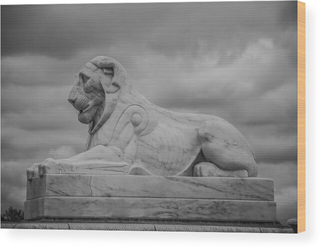 Lion Wood Print featuring the photograph Fountain Lion by Pravin Sitaraman