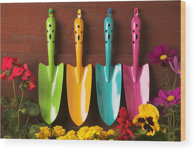 Trowel Wood Print featuring the photograph Four colored trowels by Garry Gay