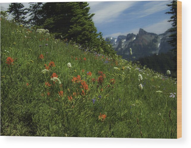 Mt Rainier Wood Print featuring the photograph Framing the Tatoosh by Doug Scrima