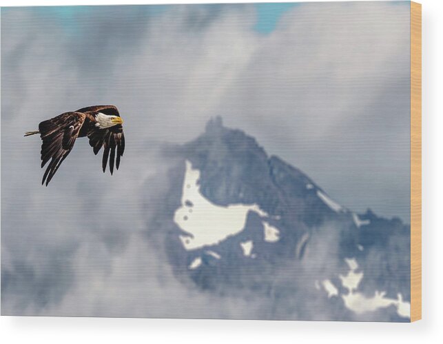 Bald Wood Print featuring the photograph Freedom in Seabeck, WA by Rob Green