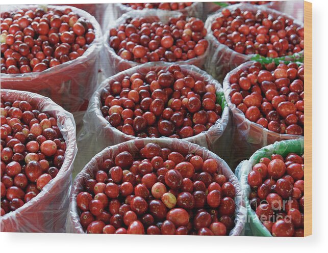 Montreal Wood Print featuring the photograph Fresh Cranberries by John Mitchell