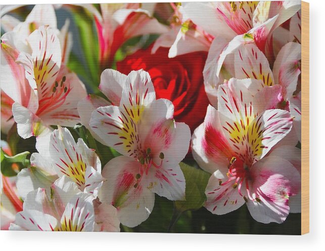 Flowers Wood Print featuring the photograph Fresh Flowers by Chuck Brown