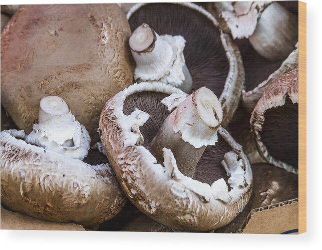 Baskets Wood Print featuring the photograph Fresh Portabella Mushrooms by Teri Virbickis