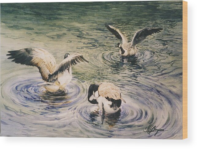Geese Wood Print featuring the painting Freshening Up II by Maryann Boysen