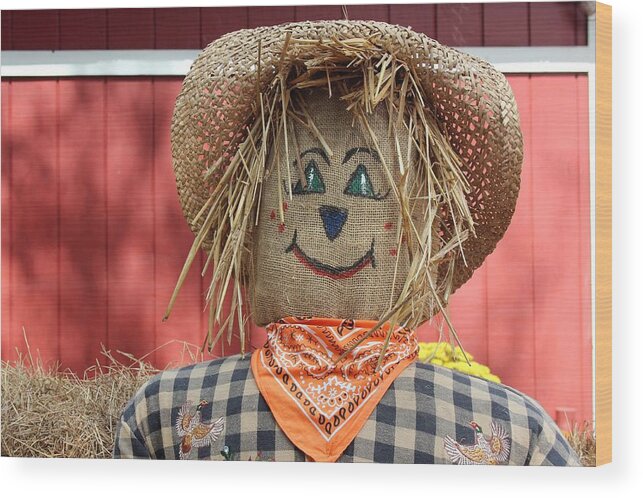 Photo For Sale Wood Print featuring the photograph Friendly Scarecrow by Robert Wilder Jr