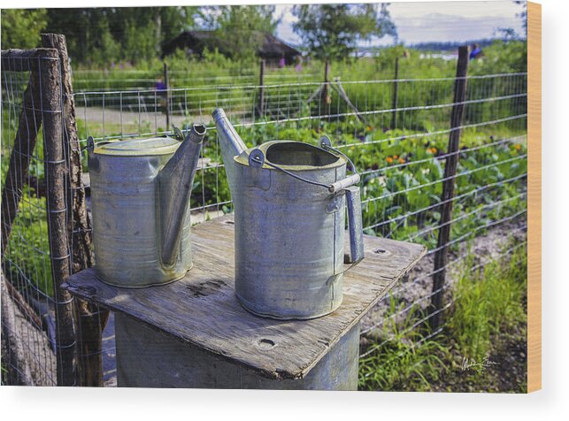 Watering Cans Wood Print featuring the photograph Friends - Alaska Watering Cans by Madeline Ellis