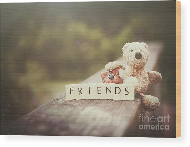 Toy Wood Print featuring the photograph Friends by Giuseppe Esposito