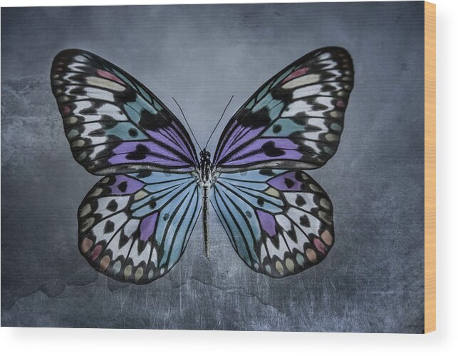 Butterfly Wood Print featuring the photograph From Change To Beauty by Elvira Pinkhas