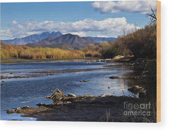 Arizona Wood Print featuring the photograph From the Salt by Kathy McClure