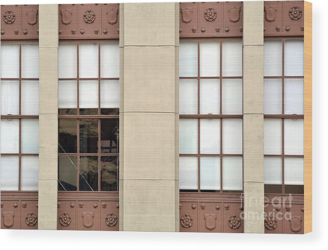 Architecture Wood Print featuring the photograph Frontage by Dan Holm