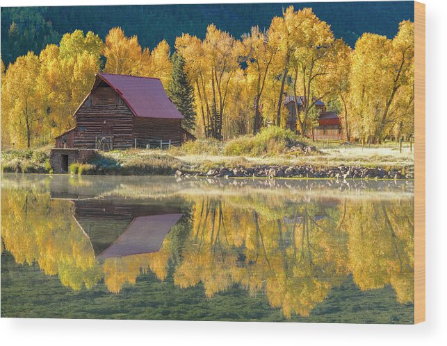 Aspen Trees Wood Print featuring the photograph Frosty Autumn Morning by Teri Virbickis