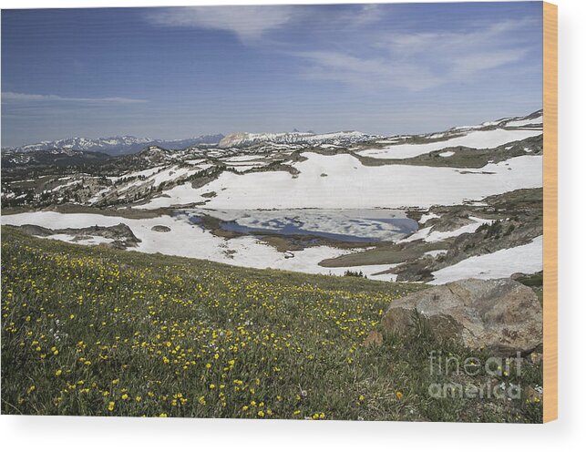 Frozen Lake Wood Print featuring the photograph Frozen Lake Beartooth Highway by Gary Beeler