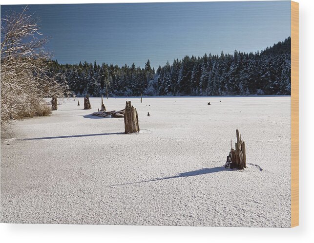 Winter Wood Print featuring the photograph Frozen Lake by Inge Riis McDonald