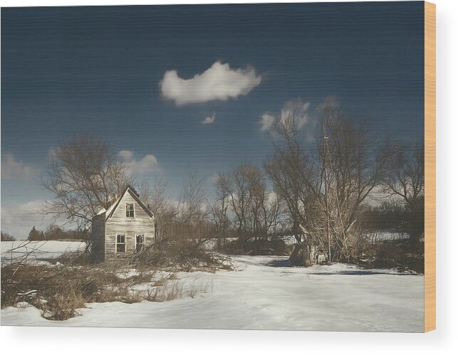 House Wood Print featuring the photograph Frozen Stillness by Scott Norris