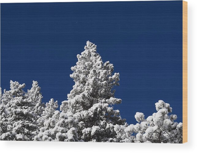 Blue Wood Print featuring the photograph Frozen Tranquility Ute Pass COS CO by Margarethe Binkley