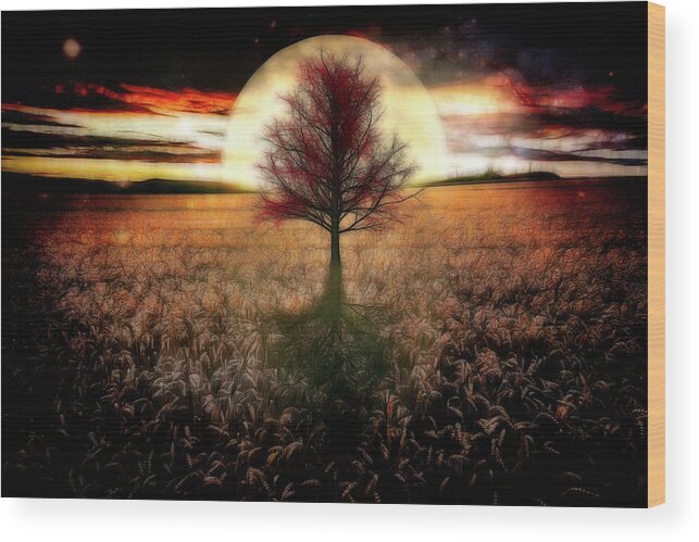 Clouds Wood Print featuring the photograph Full Moon at Sunset Night Glow by Debra and Dave Vanderlaan