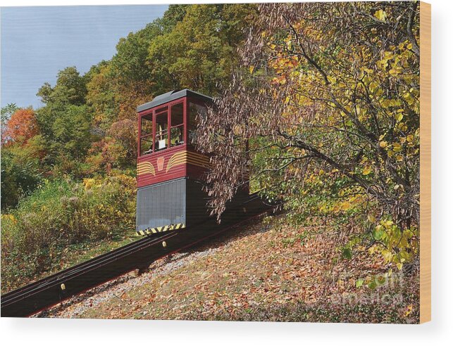 Funicular Wood Print featuring the photograph Funicular Descending by Cindy Manero