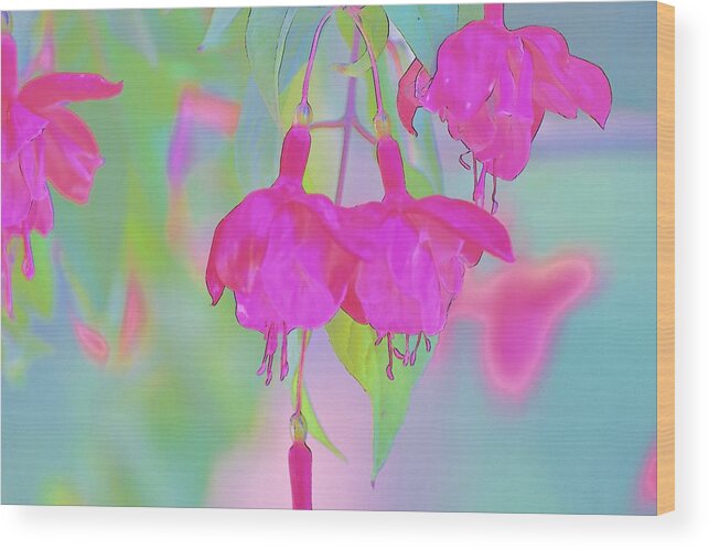 Linda Brody Wood Print featuring the digital art Fuchsia Flower Abstract by Linda Brody