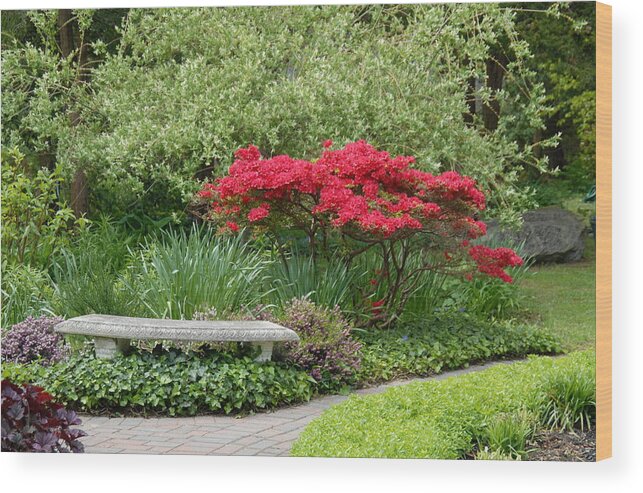 Carved Stone Garden Bench Wood Print featuring the photograph Garden 55 by Joyce StJames