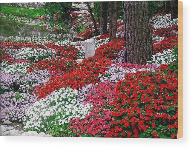 Flowers Wood Print featuring the photograph Garden Among Trees by Jeanette Oberholtzer